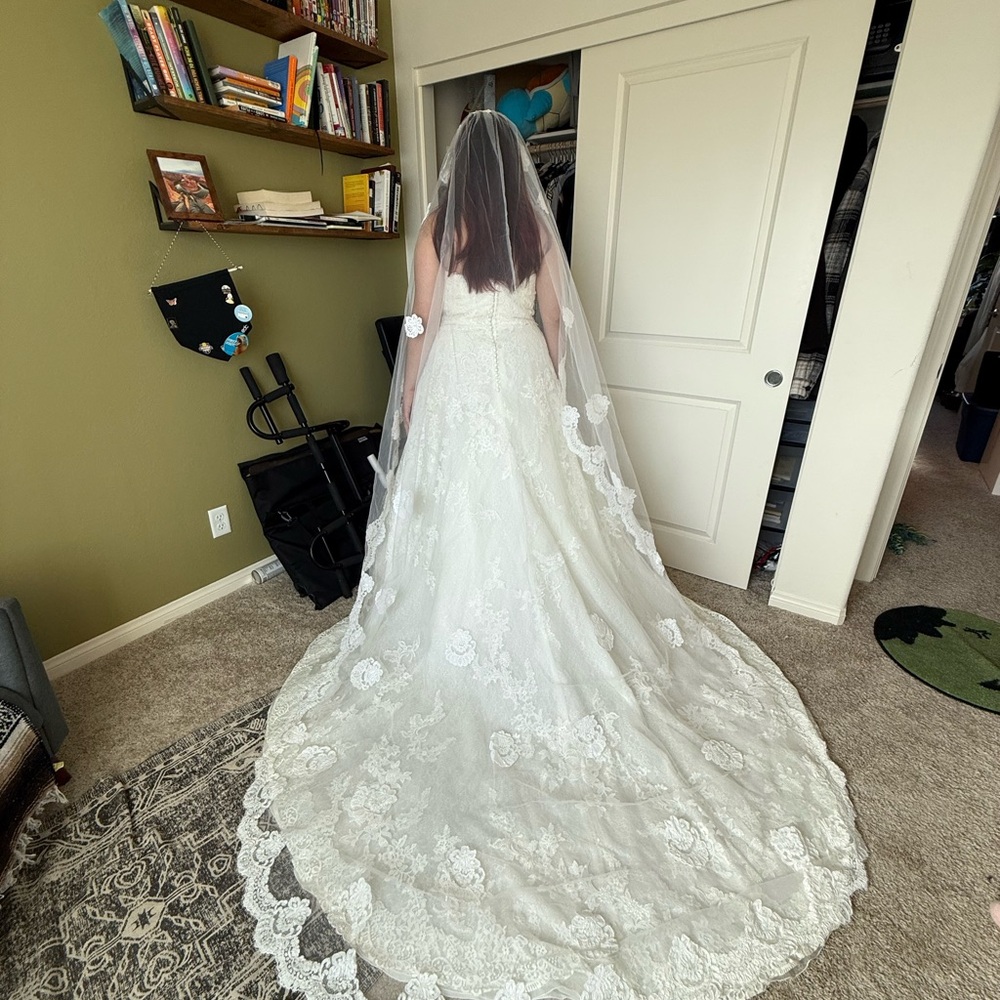 Pronovias White Bridal Gown with Veil